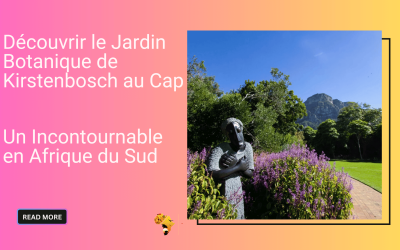 Découvrir le Jardin Botanique de Kirstenbosch au Cap : Un Incontournable en Afrique du Sud